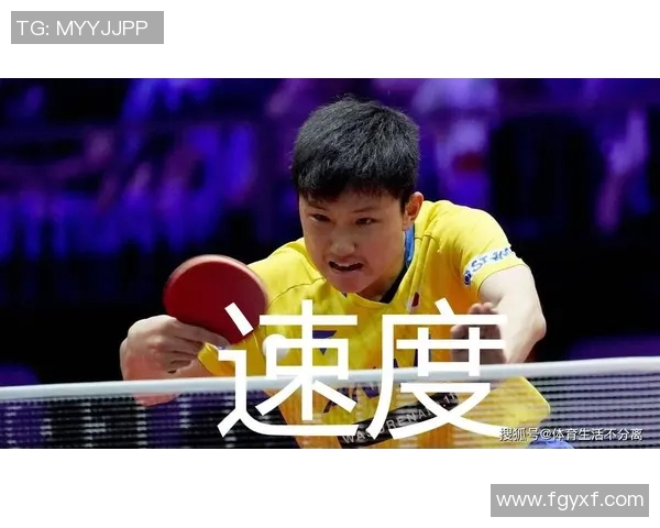 南京乒乓球队快攻战术解析与技术特点深度剖析