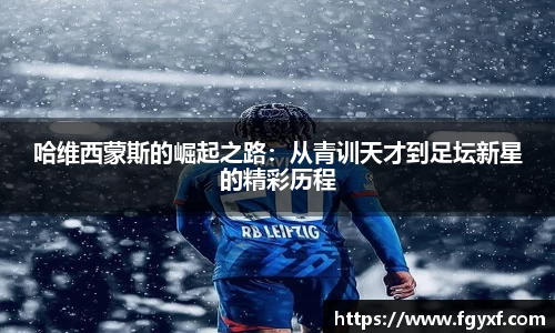 HB火博体育