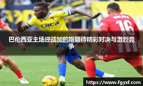 HB火博体育